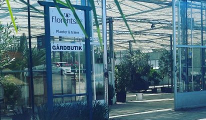 Florentsia bner ny butik i drivhus i Smrum