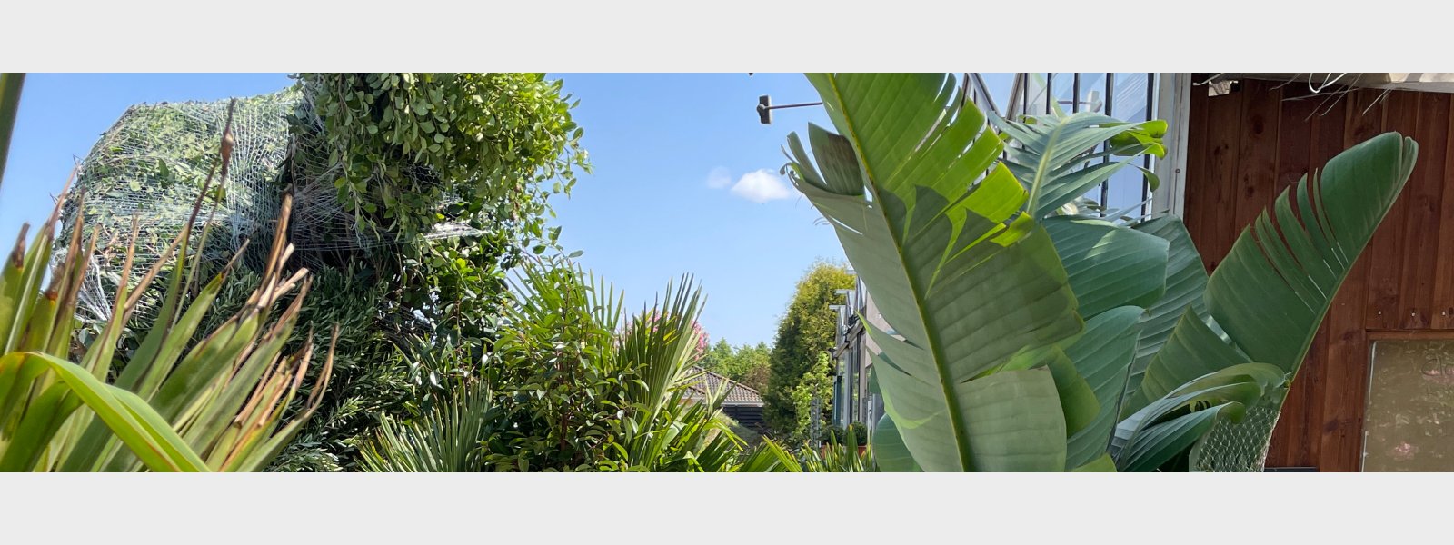 Fantastiske planter ankommer direkte fra Sydens varme