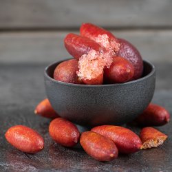 Fingerlime (Citrus australasica), rd frugt, 70-100 cm, opstammet