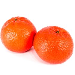Blodklementin (Citrus reticulata x sinensis), cirka 100 cm, opstammet, ungtr�